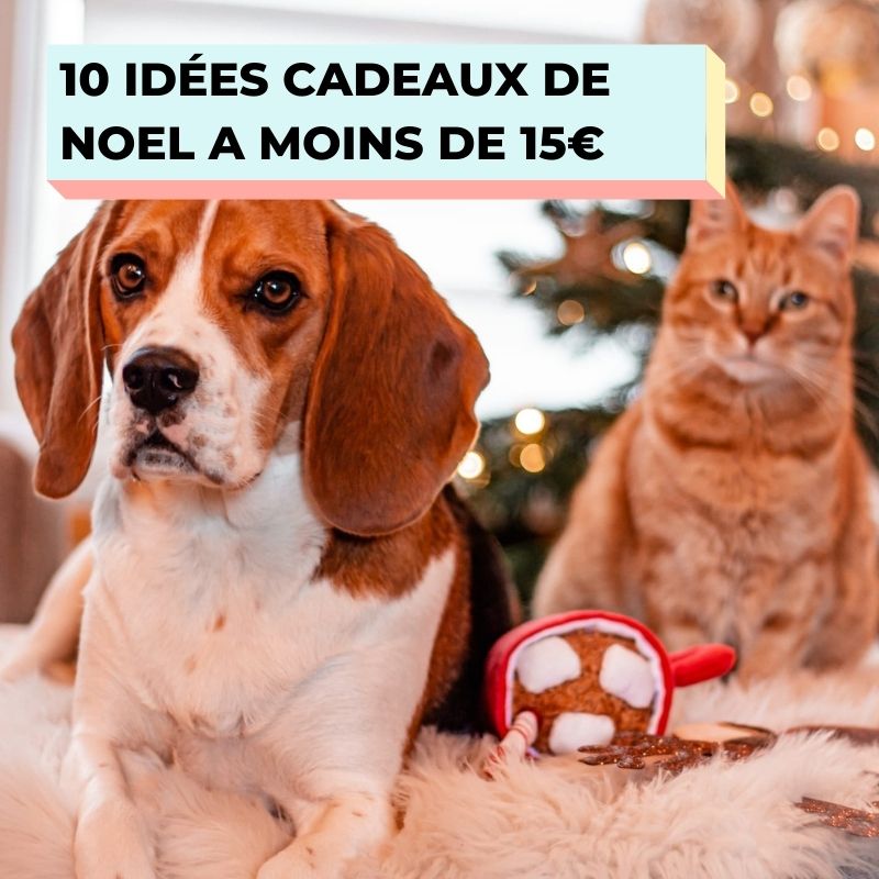 LES MEILLEURS CADEAUX POUR CHAT - Noël Top 10 2021 