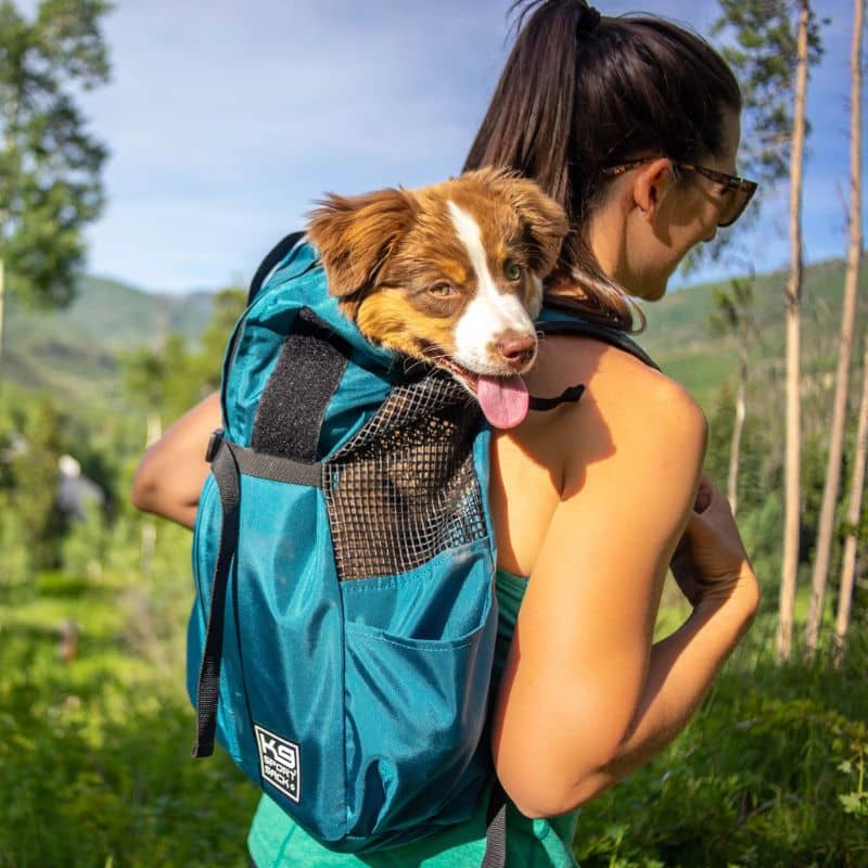 sac à dos de transport et randonnée Trainer pour chien de la marque K9 Sport Sack pour transporter les chiens