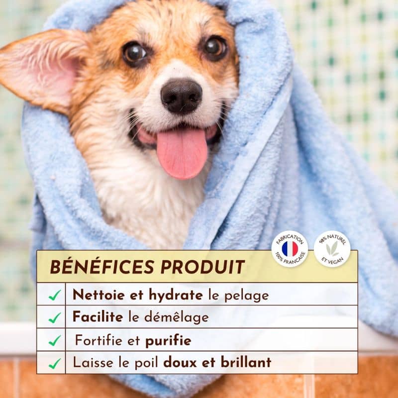 Shampoing solide Dexter et Mango poils de velours pour chien de tous types de pelages bénéfices