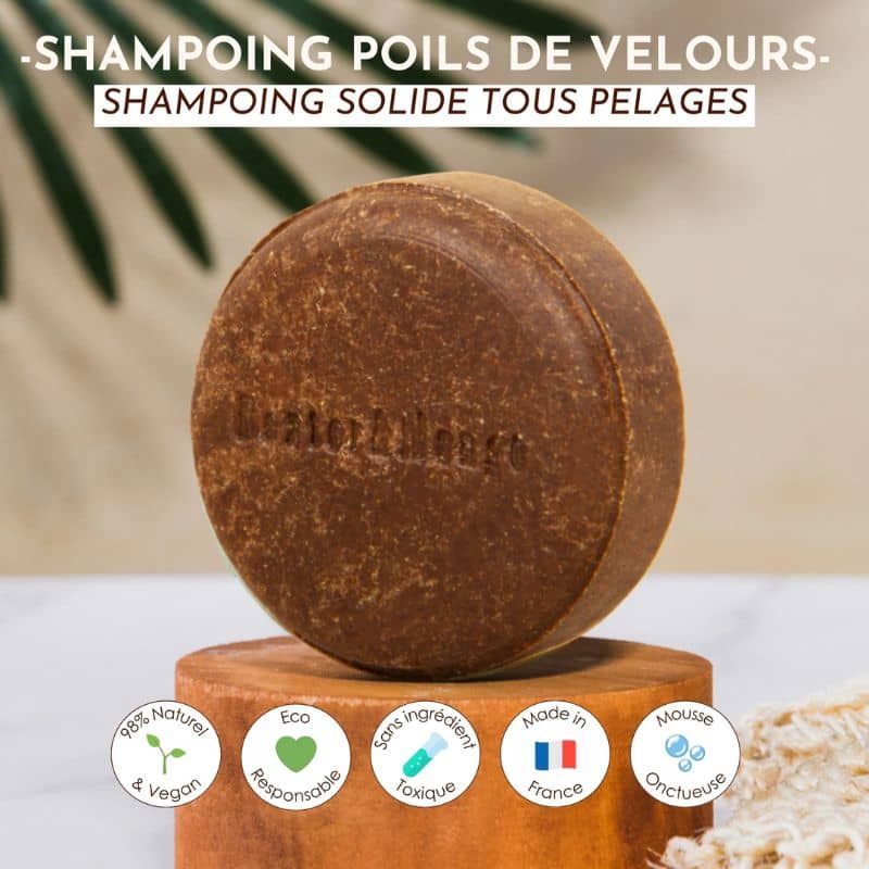 Shampoing solide Dexter et Mango poils de velours pour chien de tous types de pelages made in france