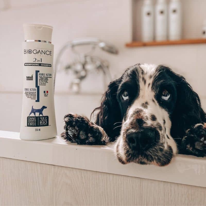 Shampooing démélant naturel deux en un pour chien de la marque biogance