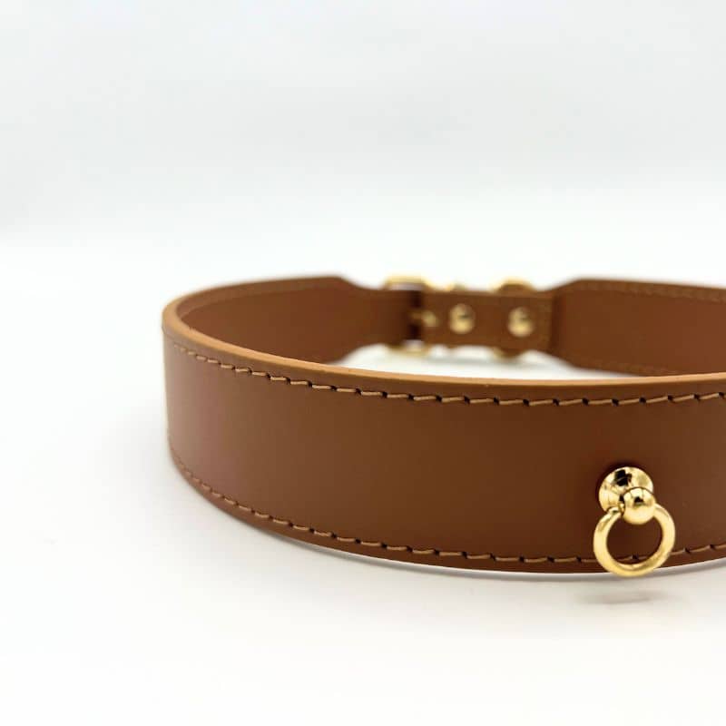 Collier en cuir pour chien collection Nara de Branni Pets