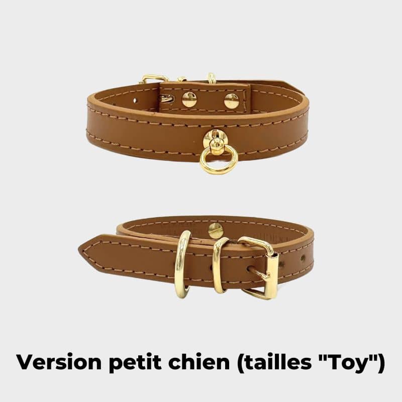 Collier en cuir pour chien collection Nara de Branni Pets en taille pour moyens et grands chiens