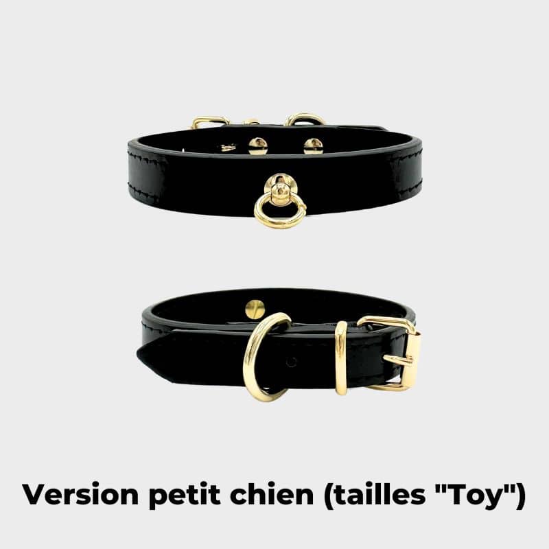 Collier en cuir pour chien collection Nara de Branni Pets en taille pour petits chiens