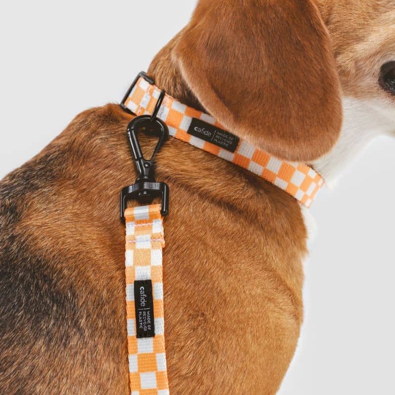 Mousqueton de la laisse pour chien juno de cafide motif carreaux orange et blanc