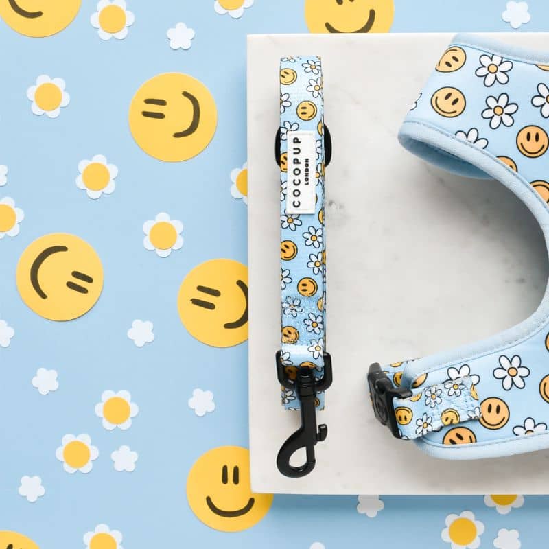 Laisse pour chien tissu et motif bleu fleurs daisy marguerites et smiley jaune de Cocopup London