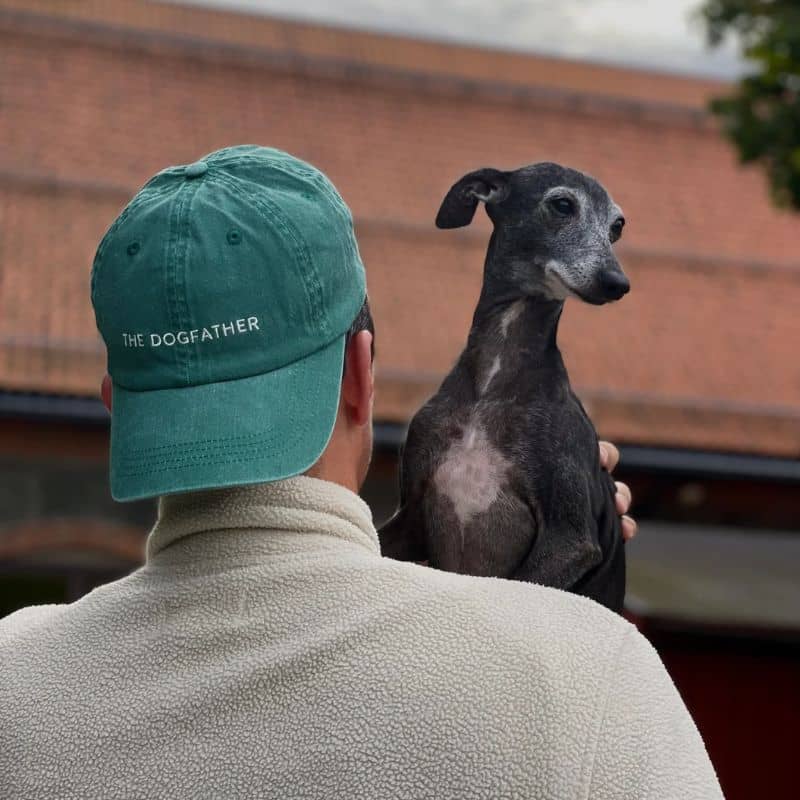 Casquette coton "the dog father" en vert pour les dog dad