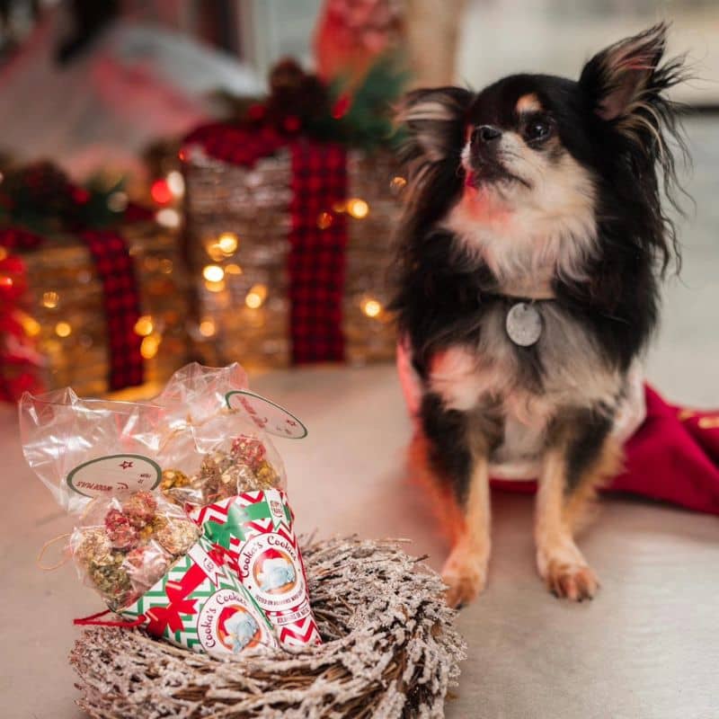 Friandises de noel Cooka's Cookies idéal pour récompenser son chien pour lui offre sous le sapin