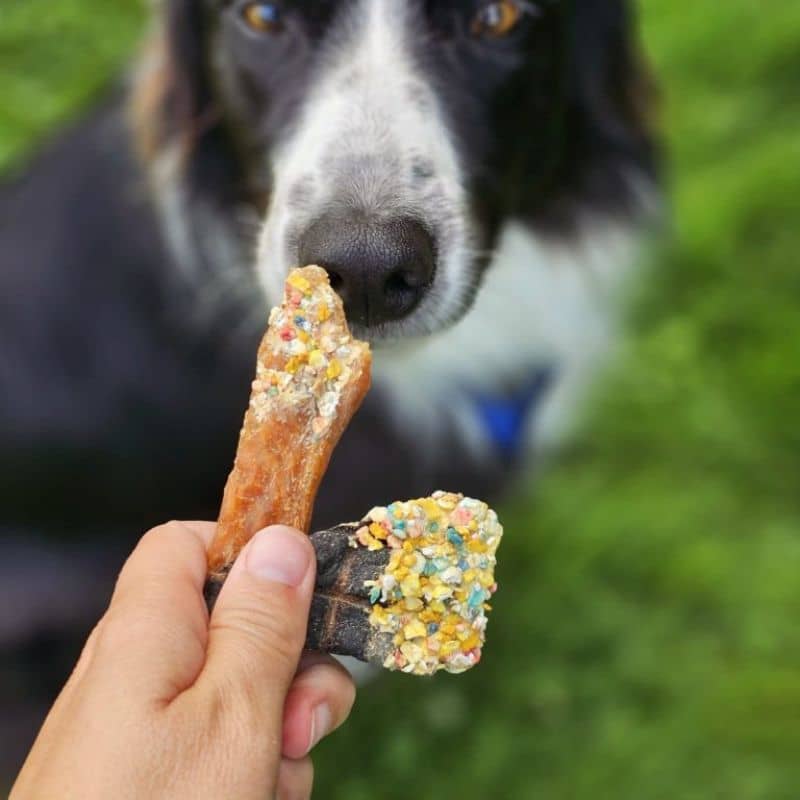 mélange de mastication naturelle au poisson et à la viande pour chien 