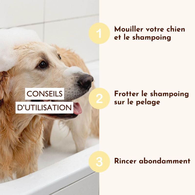 Shampoing solide Dexter et Mango poils de velours pour chien de tous types de pelages : conseils d'utilisation