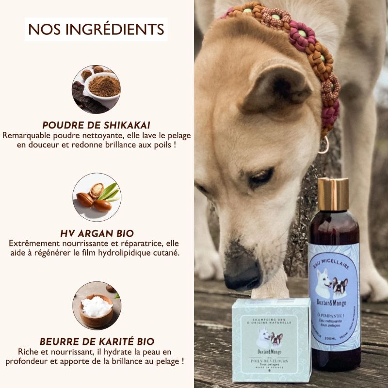 Shampoing solide Dexter et Mango poils de velours pour chien de tous types de pelages - liste ingredients