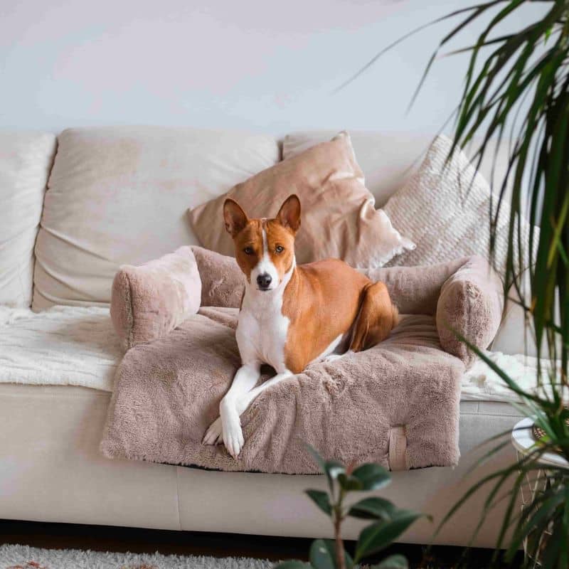 Lit apaisant déhoussable protecteur de canapé pour chien ou chat