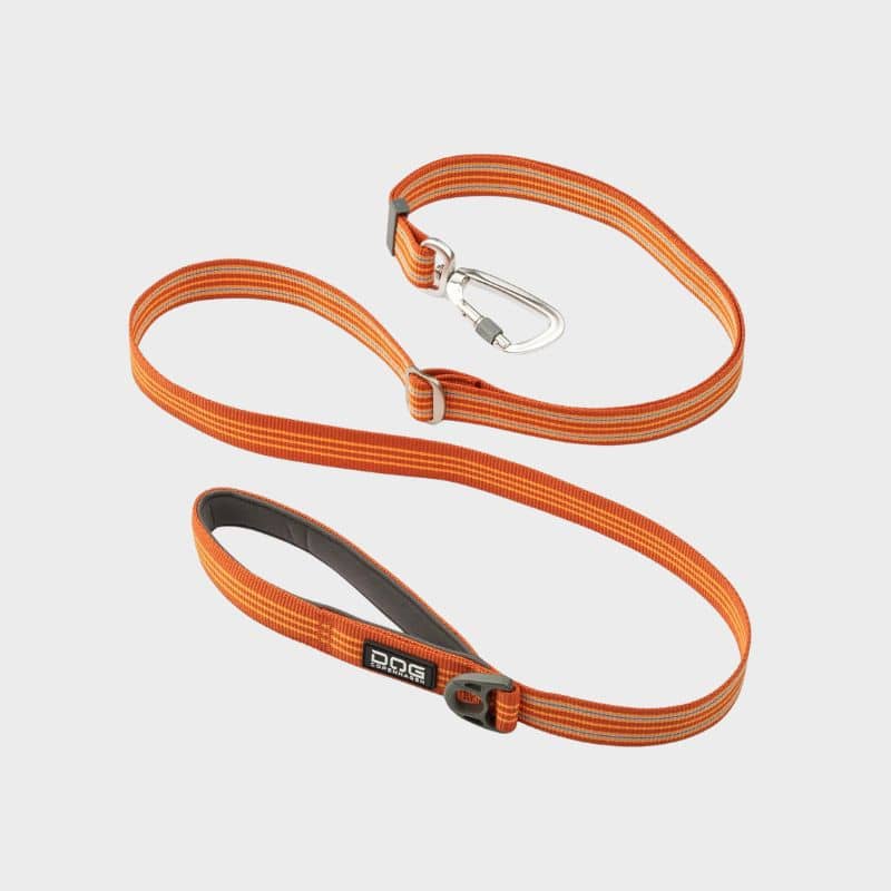 Laisse Dog Copenhagen pour chien en orange