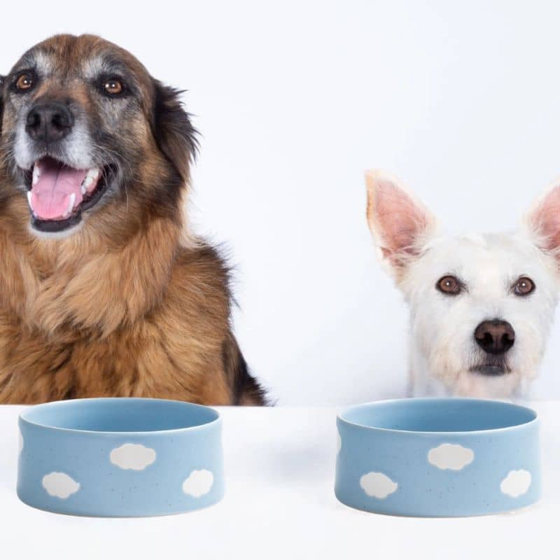 Gamelles pour chien en grès motif mignon nuage bleu et blanc de Egg Back home