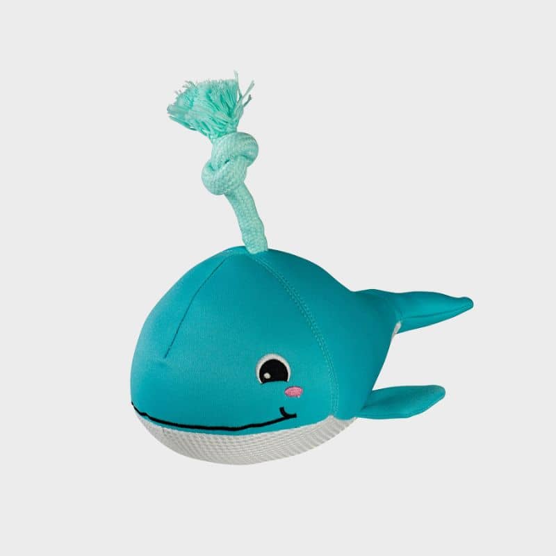 jouet flottant pour chien idéal pour l'été : "Splashy" la baleine par Splash Mates Fringe
