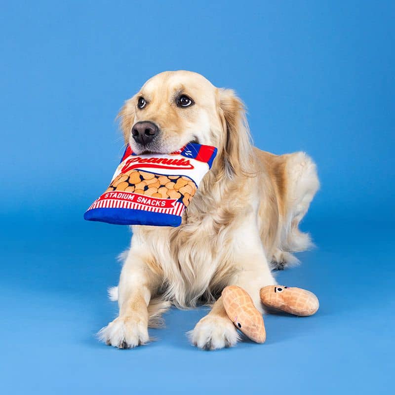 Golden Retriever avec un jouet interactif pour chien en forme de sachet de cacahuete peanut