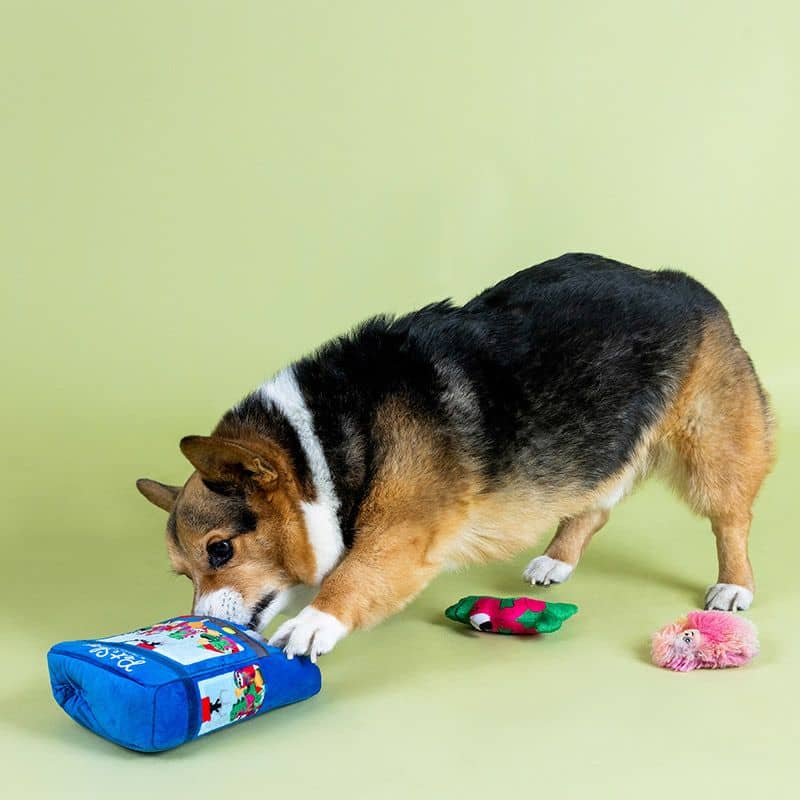 Chien qui cherche des friandises dans un jouet de fouille interactif pour chien de la marque Fringe Studio Pet Shop