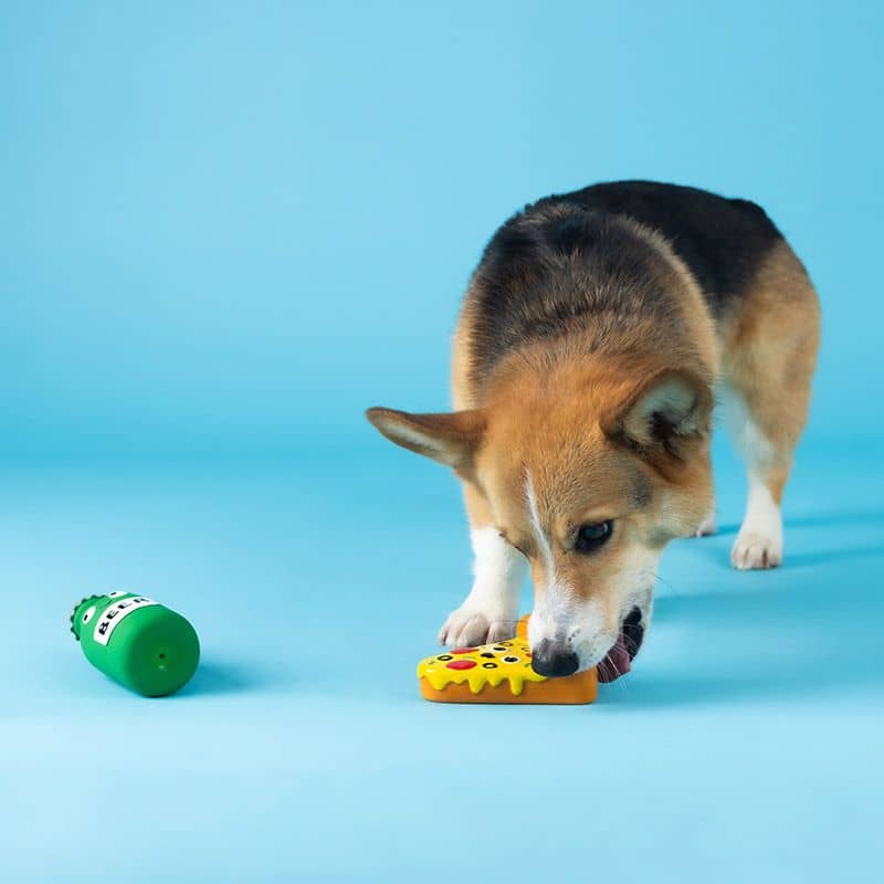 Chie qui joue avec deux jouets en latex naturel pour chien en forme de part de pizza et de bière de la marque Fringe Studio Pet Shop
