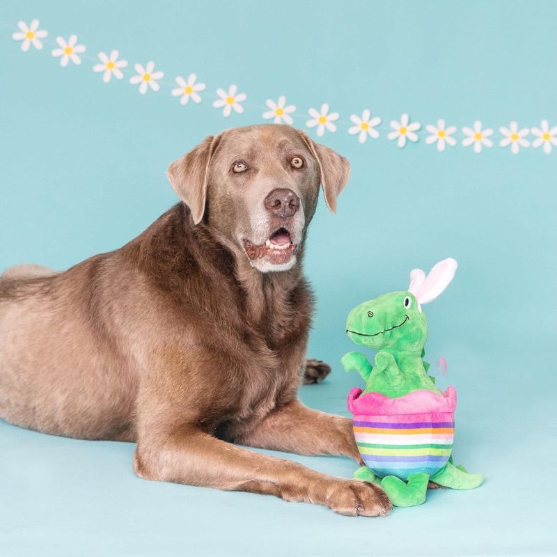 Jouet peluche pour chien en forme de dinosaure déguisé en lapin et oeuf de paques "Just Hatched" Fringe