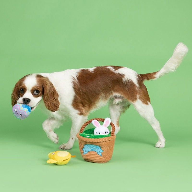 jouet d'occupation pour chien en forme de panier et de 3 peluches qui couinent représentant un oeuf de paques, un poussin et un lapin de paques "Egg hunt squad" Fringe