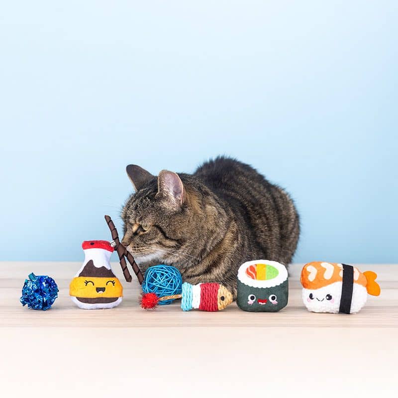 Chat avec le set de jouets "true soymates" de Studio Fringe - jouet catnip
