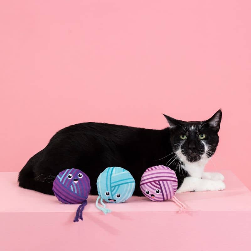Chat avec 3 jouets avec de la catnip (herbe à chat) de couleur mauve, bleu et violet de Fringe Petshop