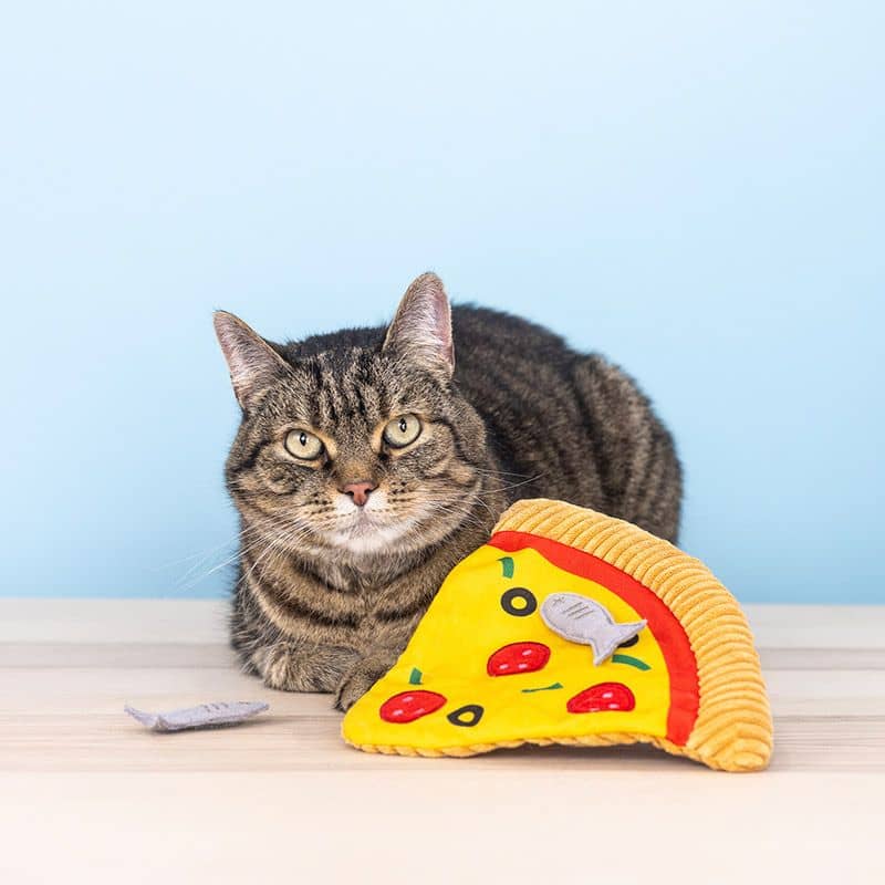 Chat avec un jouet avec de l'herbe à chat en forme de pizza avec des anchois dessus de Fringe petshop