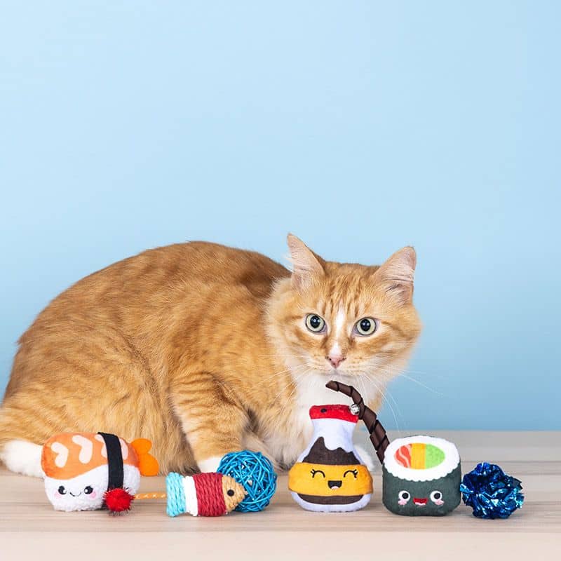Chat roux avec des jouets à l'herbe à chat en forme de sushi, onigiri et maki