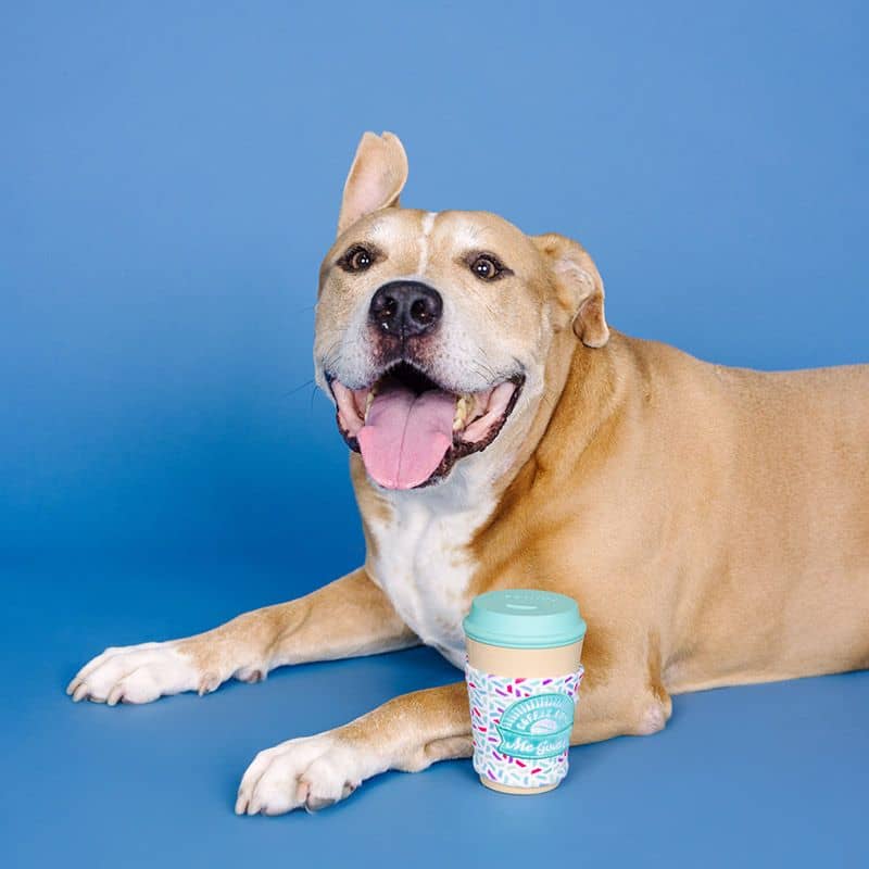 Jouet pour chien distributeur de friandises résistant en forme de tasse à café bleu de la marque Fringe Studio Pet Shop