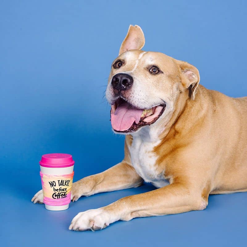 Jouet pour chien distributeur de friandises résistant en forme de tasse à café rose de la marque Fringe Studio Pet Shop