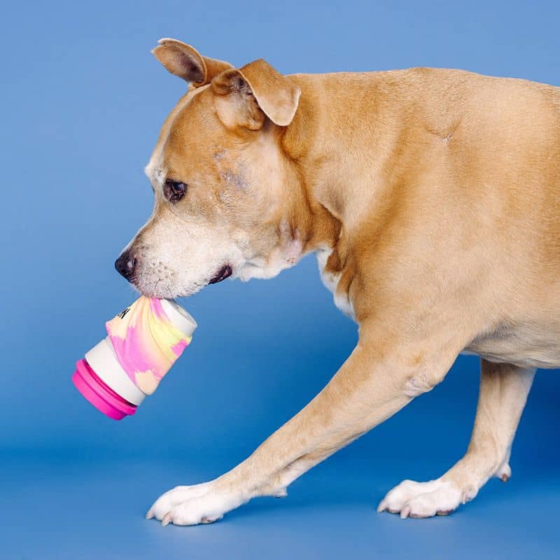 Jouet pour chien interactif distributeur de friandises résistant en forme de tasse à café rose de la marque Fringe Studio Pet Shop