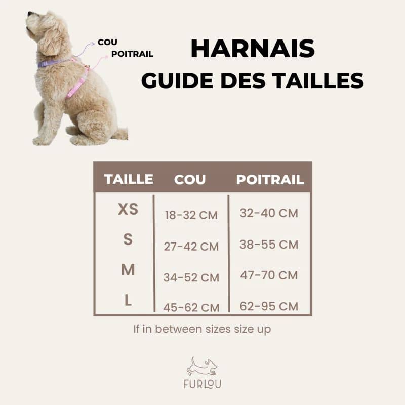 Guide des tailles du harnais comfort de Furlou - pour petit et grand chien