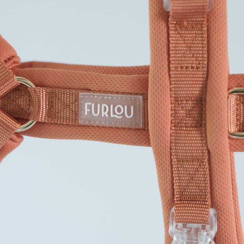 Détail du harnais comfort en H ultra léger pour chien de Furlou en Orange Terracotta