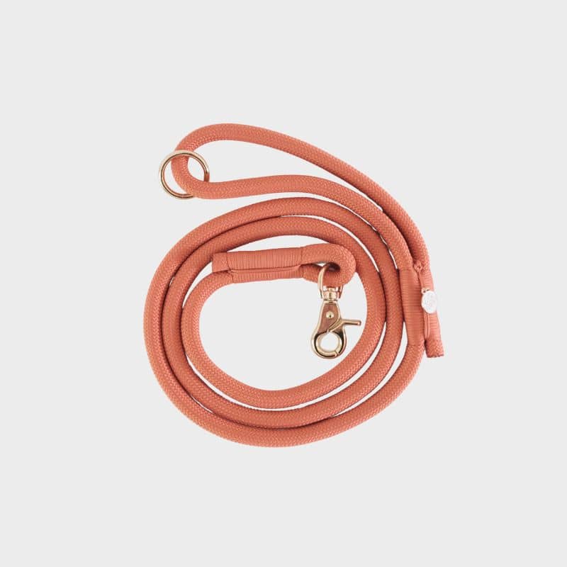 Laisse pour chien en corde en orange terracotta de Furlou