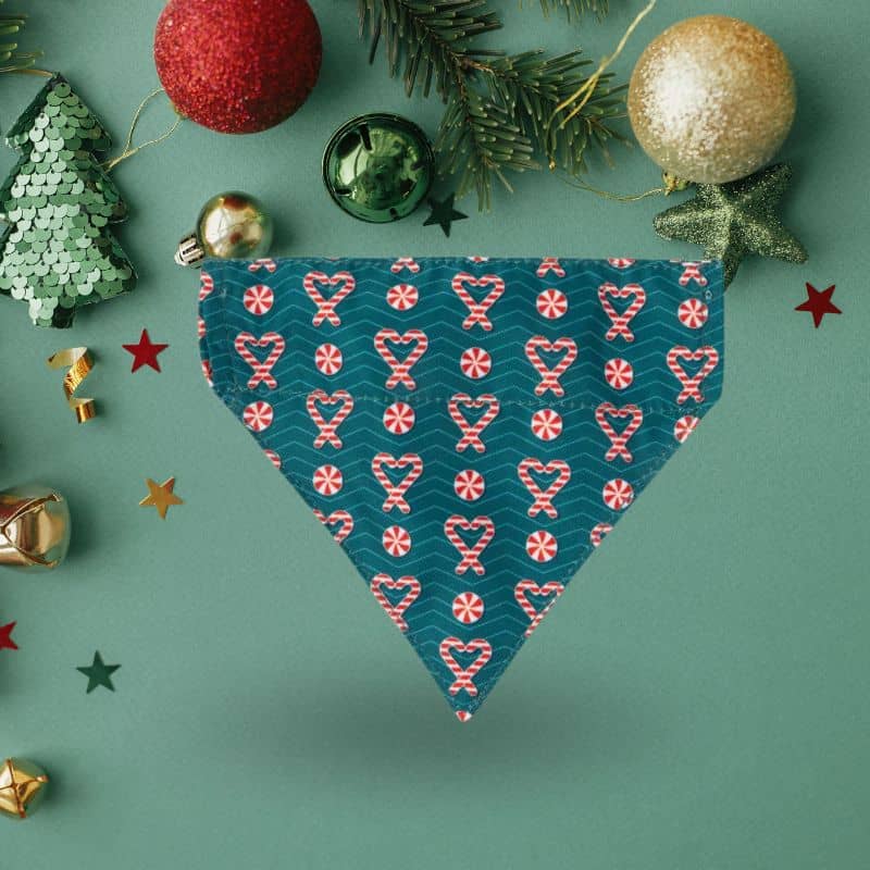 Bandana pour chat motif sucre d'orge de Noel de Fuzzyard - I heart candy canes