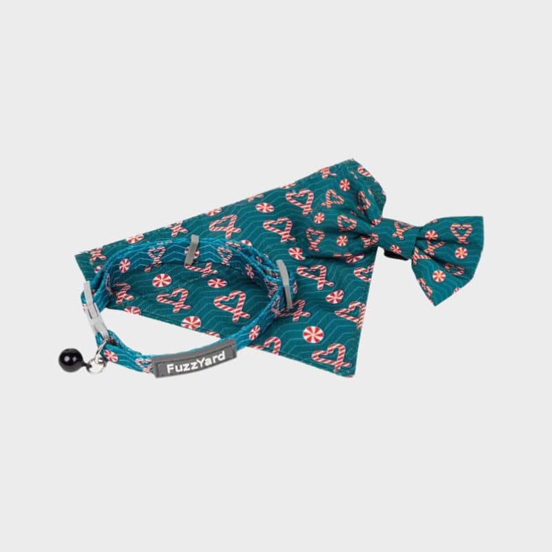 Ensemble bandana noeud papillon et collier pour chat de Noël