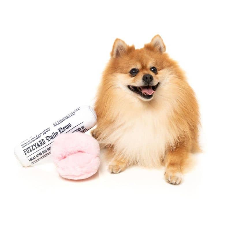 Jouet de la marque fuzzyard pour chien en forme de pantoufle et de journal pou rlui faire passer un bon moment