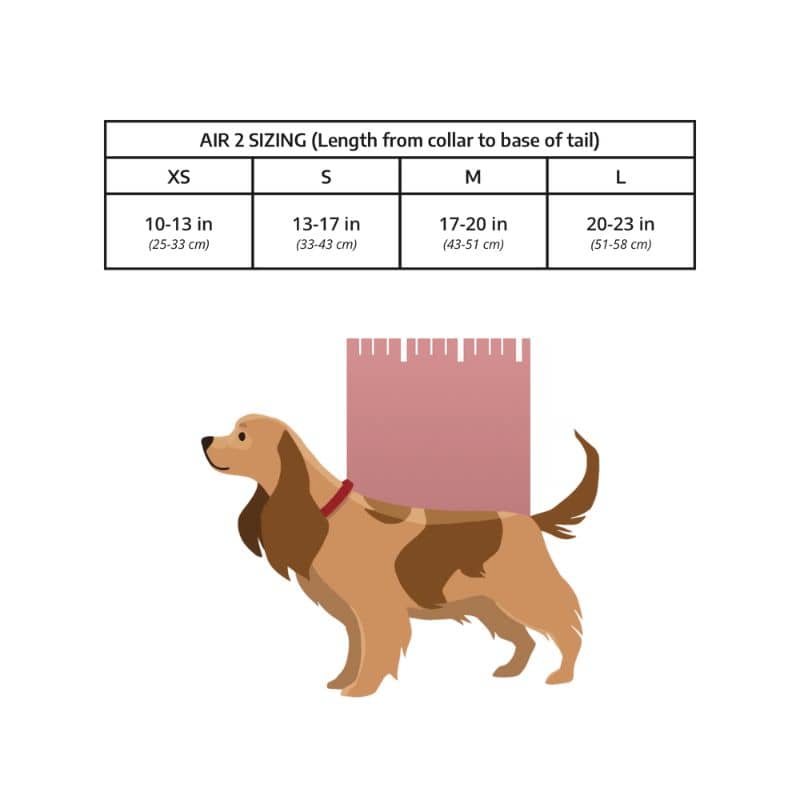 sac à dos de transport et randonnée pour chien idéal pour faire du vélo ou du scooter K9 Sport Sack Air 2