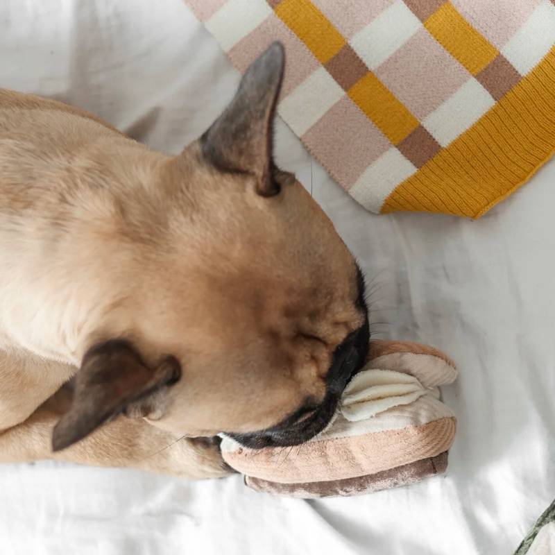 jeu d'occupation et de fouille pour chien en forme d'éclair avec 1 pouic pouic et plusieurs cachettes à friandises Lambwolf Collective