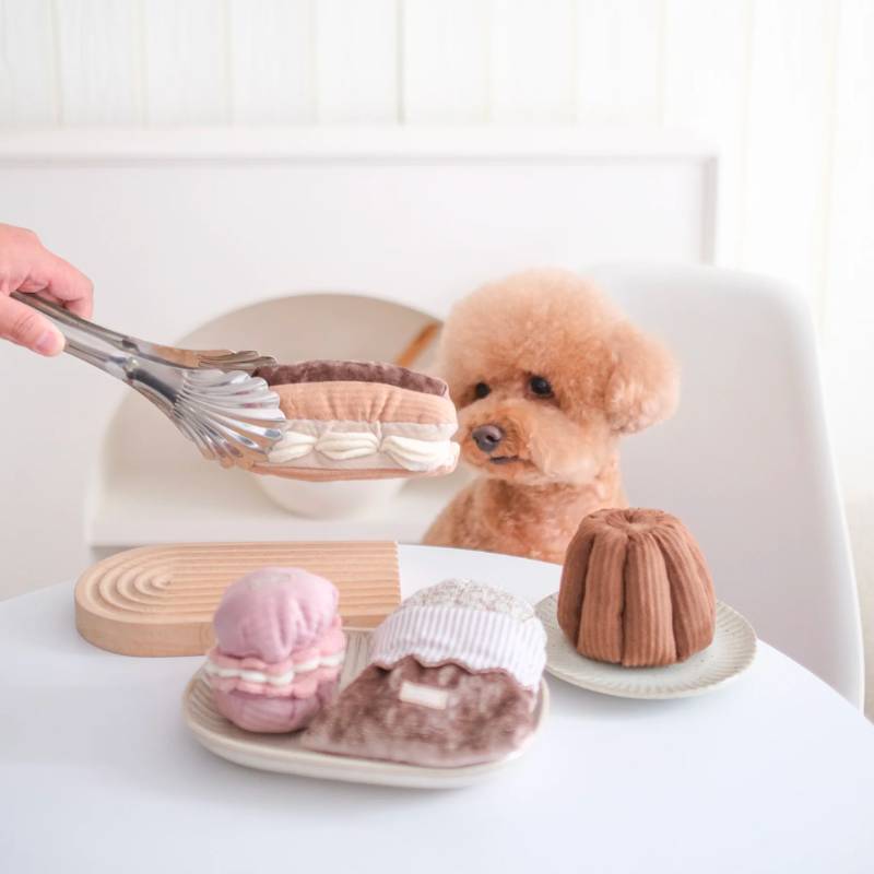 jeu d'occupation et de fouille pour chien en forme d'éclair avec 1 pouic pouic et plusieurs cachettes à friandises Lambwolf Collective