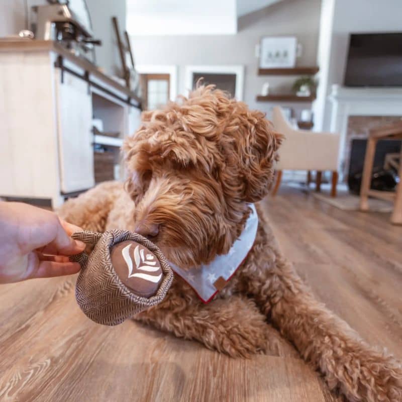 jeu d'occupation et de fouille pour chien en forme de tasse de café avec cachette à friandises et balle rebondissante qui couine Latte Pop Lambwolf Collective