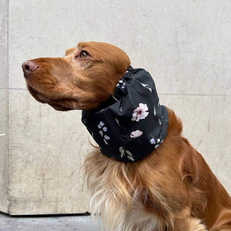 Packaging snood pour chien en coton motif dark floral Lou & Co - protection des longues oreilles contre les épillets et l'humidité modèle exemple porté