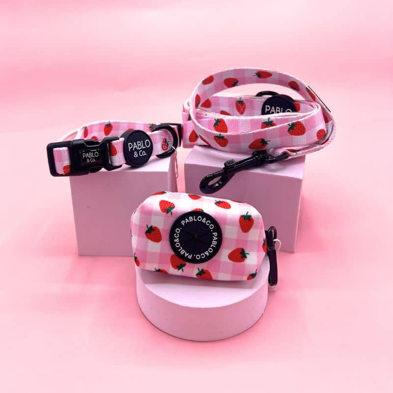 Collection d'accessoires pour chien motif Strawberry fields de Pablo & Co - fraise et vichy rose