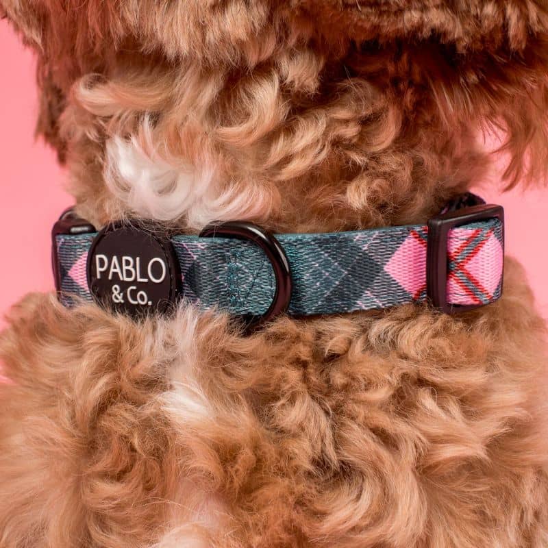 Détail du collier en tissu pour chien de Pablo & Co - motif tendance Patch's plaid