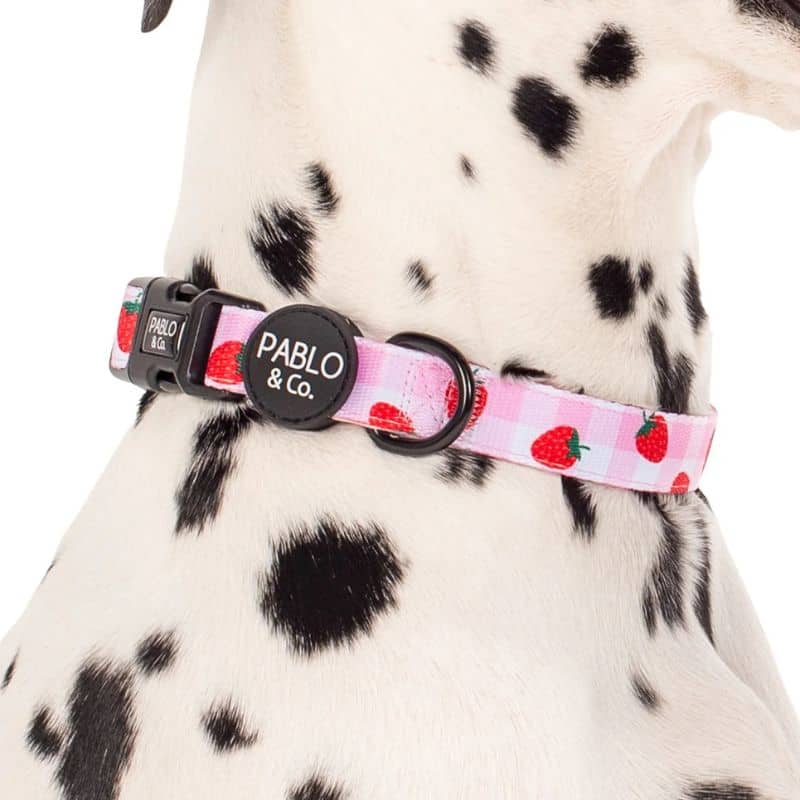 Détail du collier pour chien motif Strawberry fields de Pablo & Co - motif fraise et vichy rose