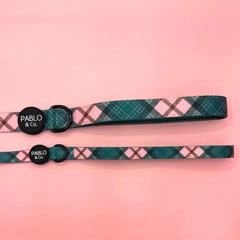 Collier en tissu pour chien de Pablo & Co - motif tendance Patch's plaid à carreaux rose et vert