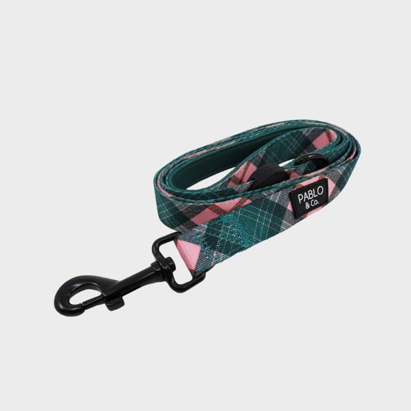 Laisse en tissu pour chien de Pablo & Co - motif tendance Patch's plaid