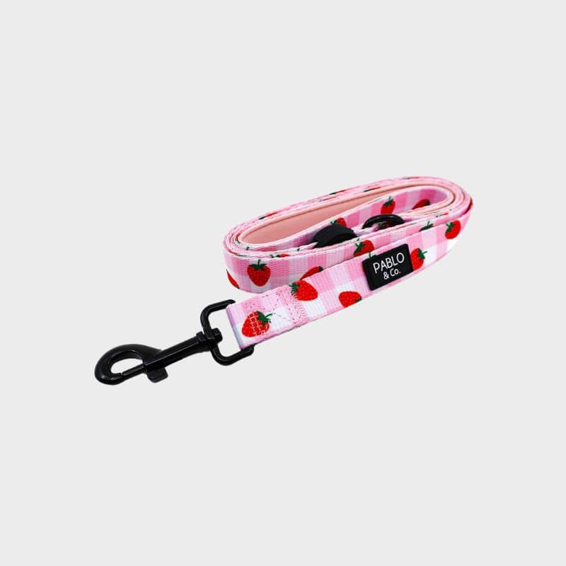 Laisse pour chien motif Strawberry fields de Pablo & Co