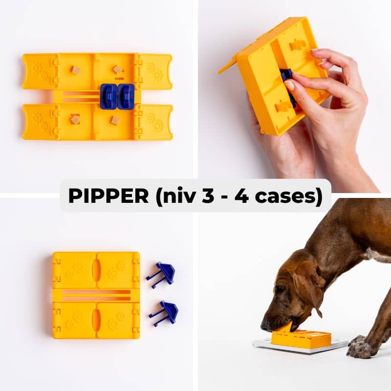 module complémentaire pour jeu d'occupation pour chien Pawzler : pipper