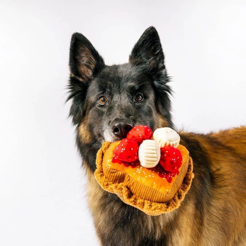 jouet peluche pour chien PLAY x IHOP en forme de toast de pain perdu / french toast qui couine 